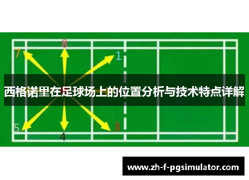 西格诺里在足球场上的位置分析与技术特点详解